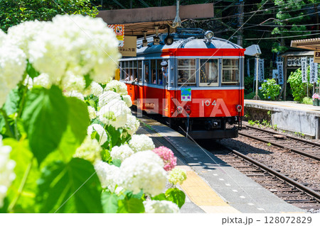 《神奈川県》あじさい電車・箱根登山鉄道塔ノ沢駅 《神奈川県》あじさい電車・箱根登山鉄道塔ノ沢駅 128072829