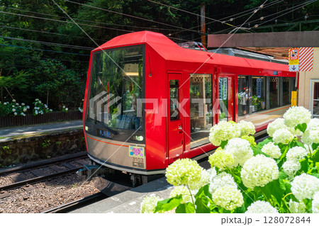 《神奈川県》あじさい電車・箱根登山鉄道塔ノ沢駅 128072844