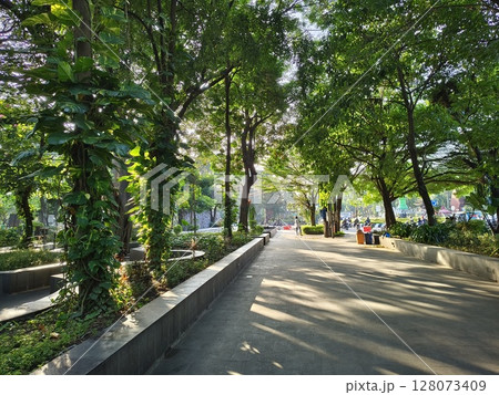 A shady outdoor green park with green trees and cool air in summer A shady outdoor green park with green trees and cool air in summer 128073409