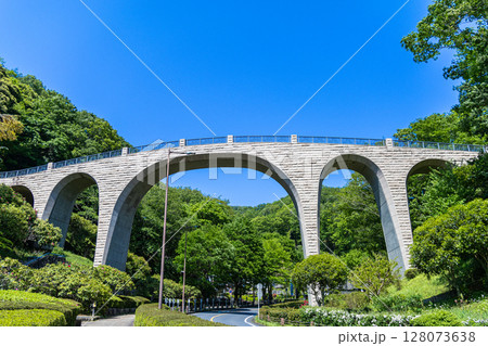 《七沢森林公園》青空に映える森のかけはし（神奈川県厚木市） 128073638