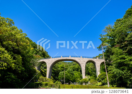 《七沢森林公園》青空に映える森のかけはし（神奈川県厚木市） 128073641