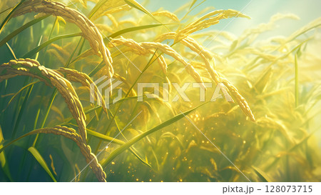 葉が青い稲穂、アニメ風 128073715