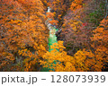 吾妻渓谷 紅葉 128073939