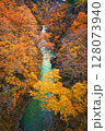 吾妻渓谷 紅葉 128073940