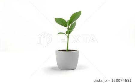 Green plant in pot isolated on white background. 3D illustration 128074651