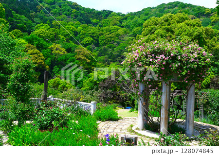 ACAO FORESTの景色 128074845