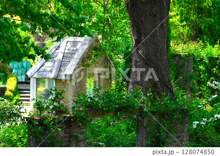 ACAO FORESTの景色 128074850