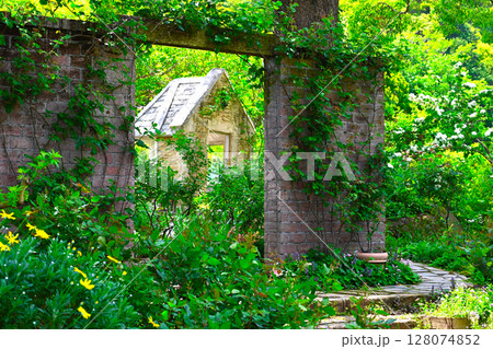 ACAO FORESTの景色 128074852