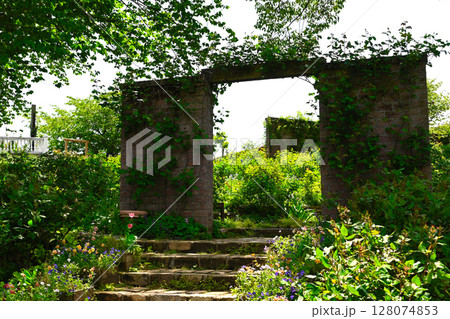 ACAO FORESTの景色 ACAO FORESTの景色 128074853