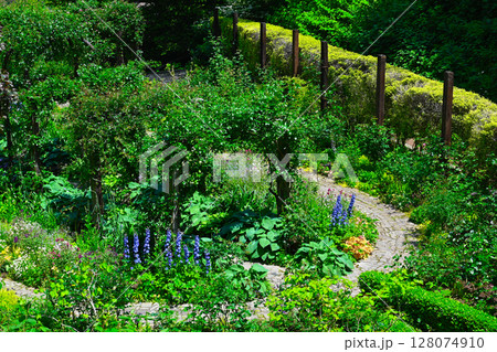 ACAO FORESTの景色 128074910