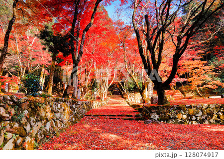 【滋賀県】晴天の鶏足寺の参道の紅葉(石道寺) 【滋賀県】晴天の鶏足寺の参道の紅葉(石道寺) 128074917