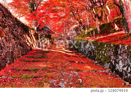 【滋賀県】晴天の百済寺の参道と紅葉 【滋賀県】晴天の百済寺の参道と紅葉 128074919