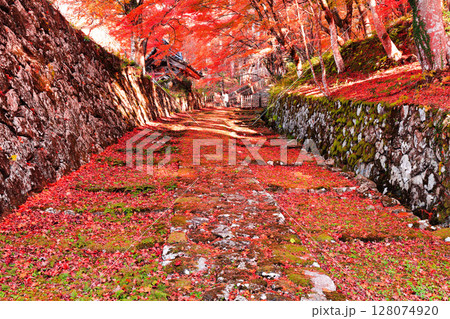 【滋賀県】晴天の百済寺の参道と紅葉 【滋賀県】晴天の百済寺の参道と紅葉 128074920