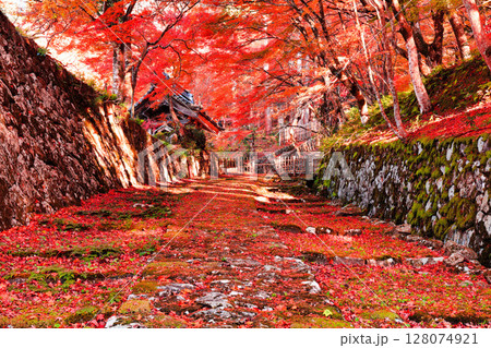 【滋賀県】晴天の百済寺の参道と紅葉 【滋賀県】晴天の百済寺の参道と紅葉 128074921