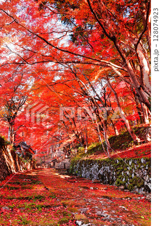 【滋賀県】晴天の百済寺の参道と紅葉 【滋賀県】晴天の百済寺の参道と紅葉 128074923