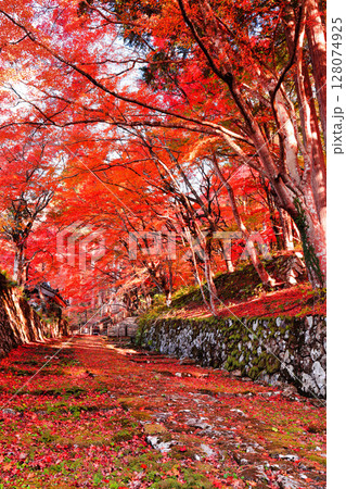 【滋賀県】晴天の百済寺の参道と紅葉 128074925