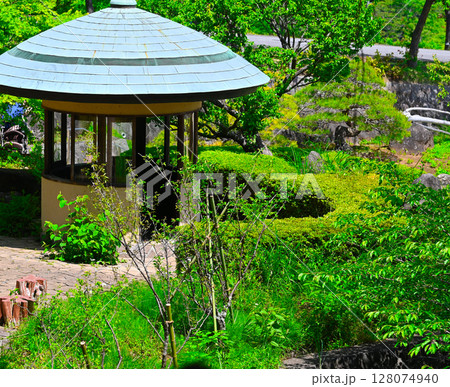 ACAO FORESTの景色 ACAO FORESTの景色 128074940