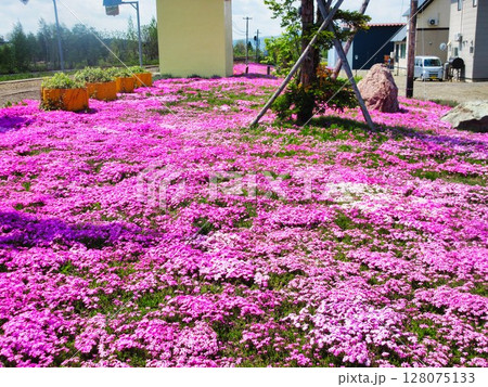 春の風景 128075133