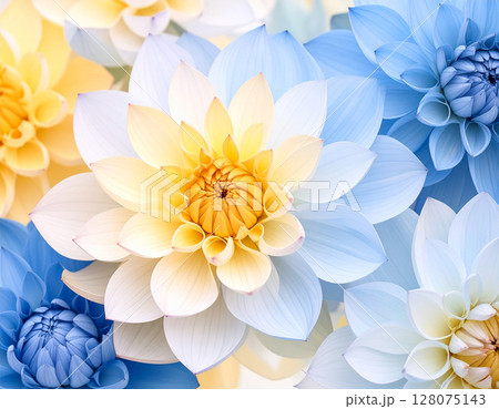 白いダリアとブルーの幻想的な花風景 128075143