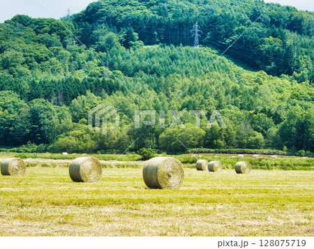 初夏の風景 初夏の風景 128075719