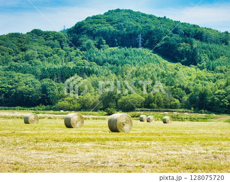 初夏の風景 初夏の風景 128075720
