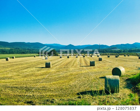 初夏の風景 初夏の風景 128075837