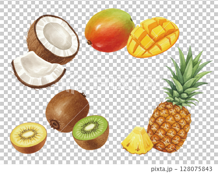 水彩風のトロピカルフルーツ 128075843