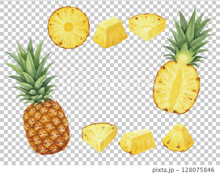 Watercolor pineapple frame Watercolor pineapple frame 128075846