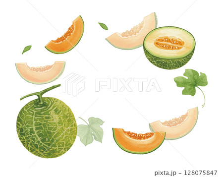 水彩風のメロンフレーム 128075847