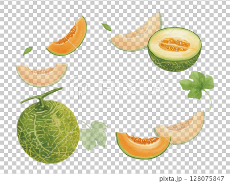 水彩風のメロンフレーム 128075847