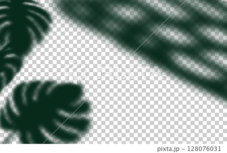 Green natural wall with tree shadow castiing blur light sunlight on floor and wall background 128076031