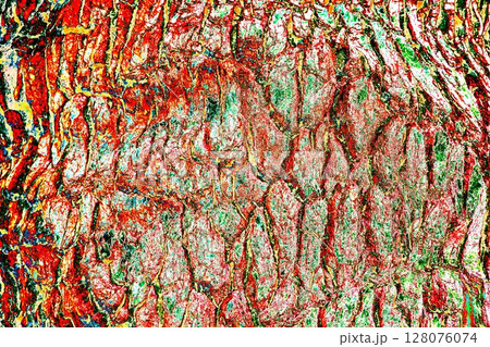 The texture of the bark of a tree close-up. Pattern of natural tree bark background.  128076074