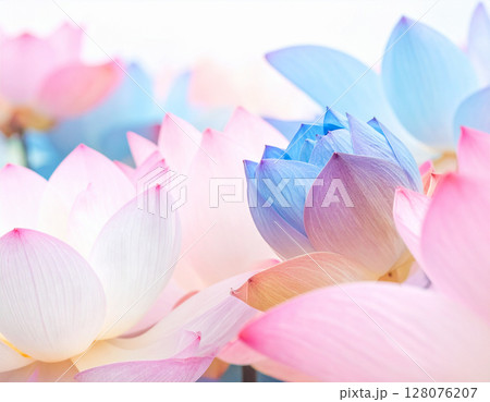 凛と咲く蓮の花 凛と咲く蓮の花 スピリチュアルアート スピリチュアル