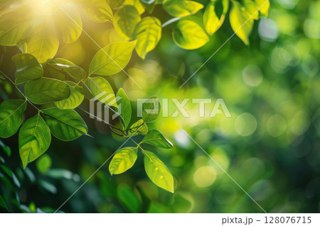 Green Nature leaves on Blur background, Generative Ai 128076715