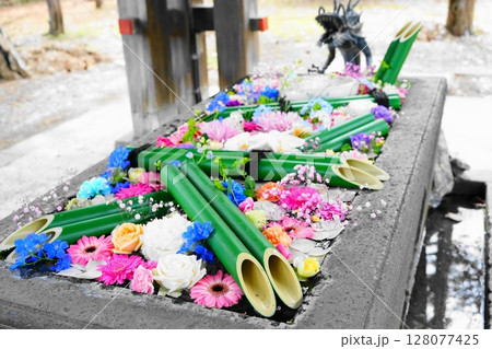 札幌の神社の花手水 128077425