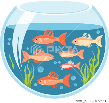 メダカが泳いでいる夏イメージのイラスト 128077451