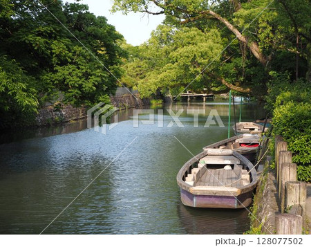柳川の水路に並ぶ伝統的な川舟と初夏の緑豊かな風景 128077502