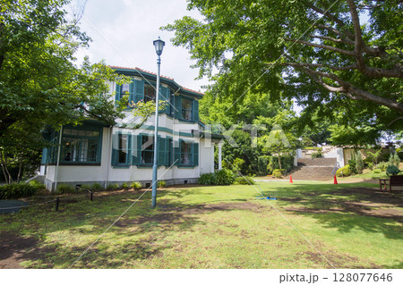 イタリヤ山庭園の夏 イタリヤ山庭園の夏 128077646