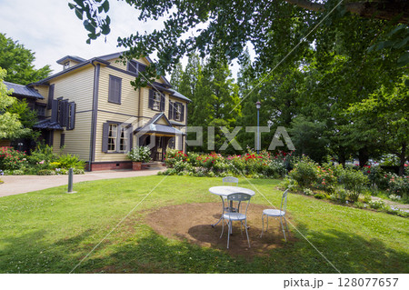 イタリヤ山庭園の夏 イタリヤ山庭園の夏 128077657