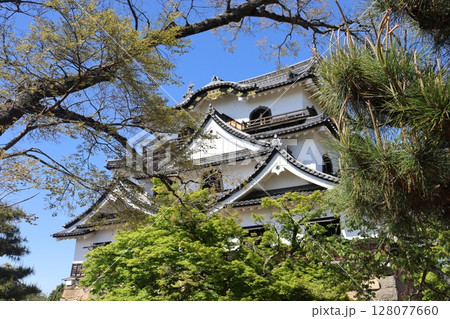 滋賀県彦根市彦根城 滋賀県彦根市彦根城 128077660