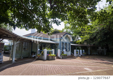 緑に囲まれた建物 緑に囲まれた建物 128077687