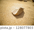 【鳥取】鳥取砂丘　地面に落ちている砂の塊（鳥取市） 128077803
