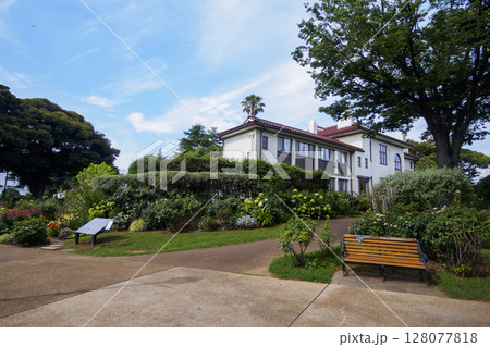 港のみえる丘公園の夏　 128077818