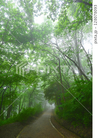 朝靄の南漢山城ハイキングコース【韓国/京畿道】 128078093