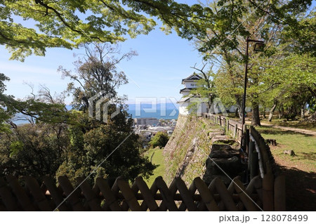 滋賀県彦根市彦根城 128078499
