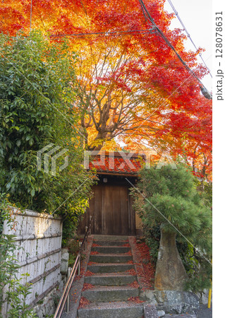 秋の京都 紅葉に包まれた金福寺 山門 秋の京都 紅葉に包まれた金福寺 山門 128078631