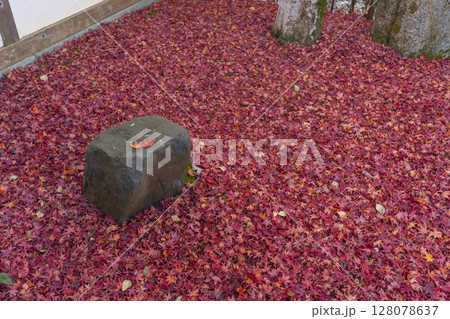秋の京都　金福寺　敷紅葉が美しい庭 128078637