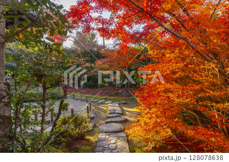秋の京都 金福寺 紅葉に包まれた枯山水庭園 秋の京都 金福寺 紅葉に包まれた枯山水庭園 128078638