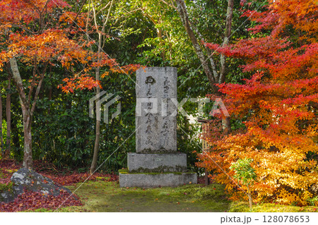 秋の京都　金福寺　紅葉が美しい枯山水庭園　句碑 128078653
