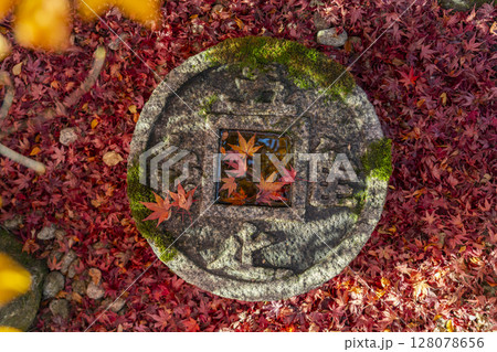 秋の京都　金福寺　知足のつくばい 128078656
